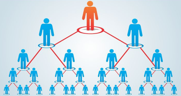 MLM Binary Plan Development in meerut